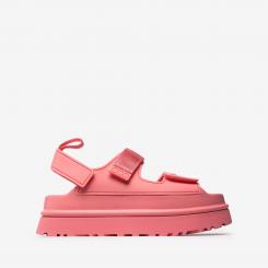 1152685-TPCL GOLDENGLOW 