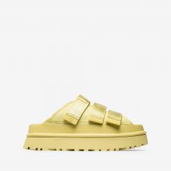 1167430-GLDN W GOLDENGLOW SL 