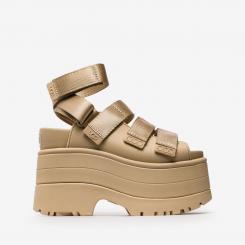 1167431-MDSD W GOLDENRISE 