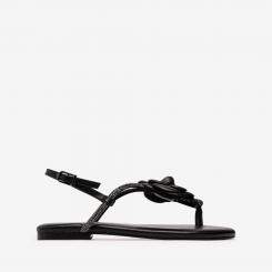 BR5500 BRILI NAPPA BLK 