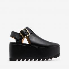 810555APADE0 ELYSE ALTER 