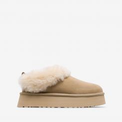 1171393 MDSD TAZZELLE 