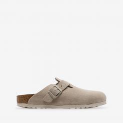 1031662 BOSTON OYSTER 