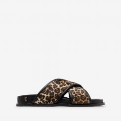 A1412028 LPR1 EMI LEOPARD 