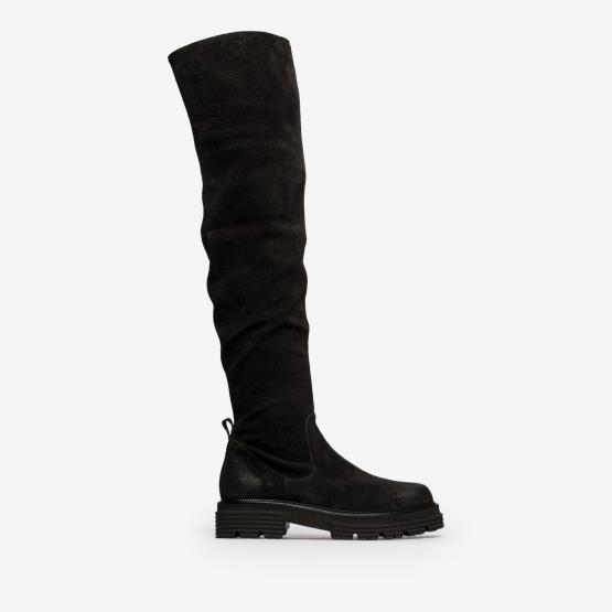 TM07384 0002 0001 NERO 40