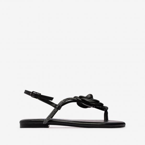 BR5500 BRILI NAPPA BLK 36