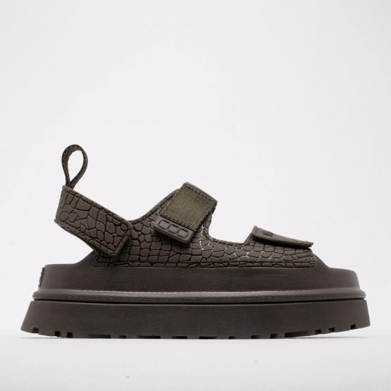 1175311 DNSS GOLDENGLOW 