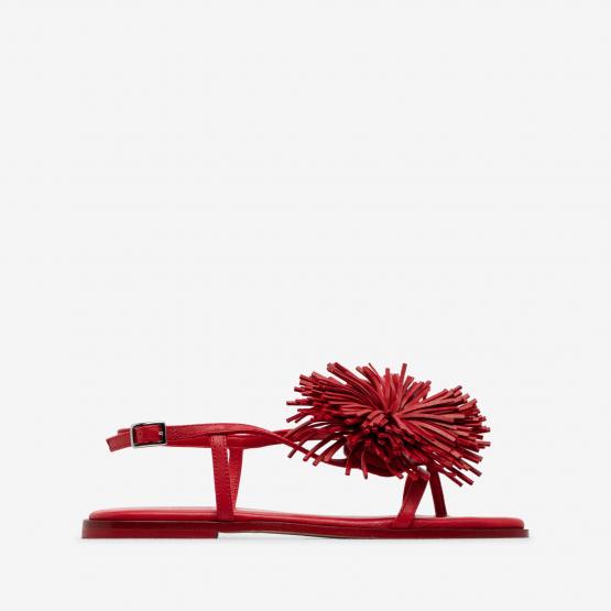 1K5200DG42H060410 RED 