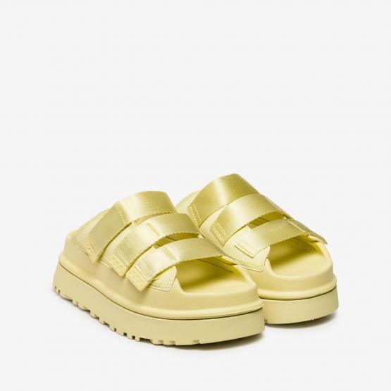 1167430-GLDN W GOLDENGLOW SL 6