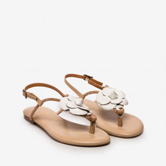 BR5500 BRILI NAPPA SAND WHITE 