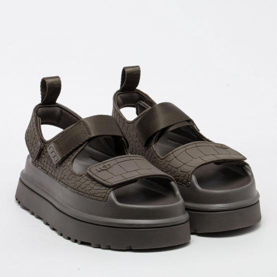 1175311 DNSS GOLDENGLOW 