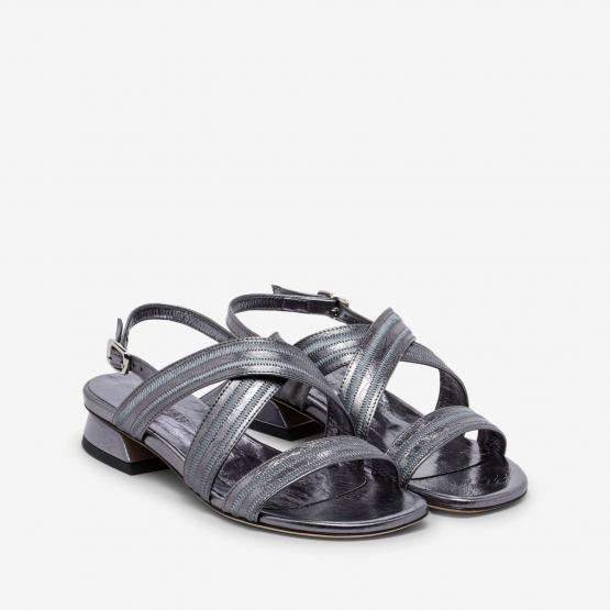 6195 ALINA 26 FUNCILE 