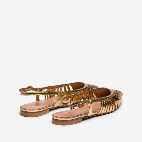 1966 10 LIZ CAM ORO 37