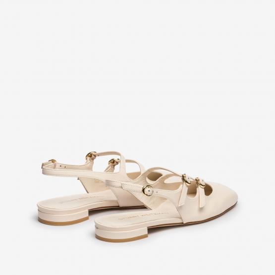 SI608 PY1 BENNI MJ SEASHELL 