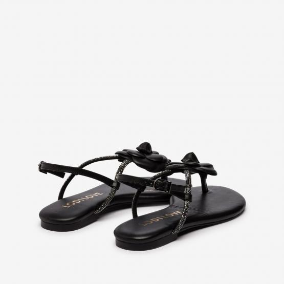 BR5500 BRILI NAPPA BLK 36