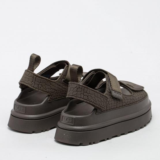 1175311 DNSS GOLDENGLOW 