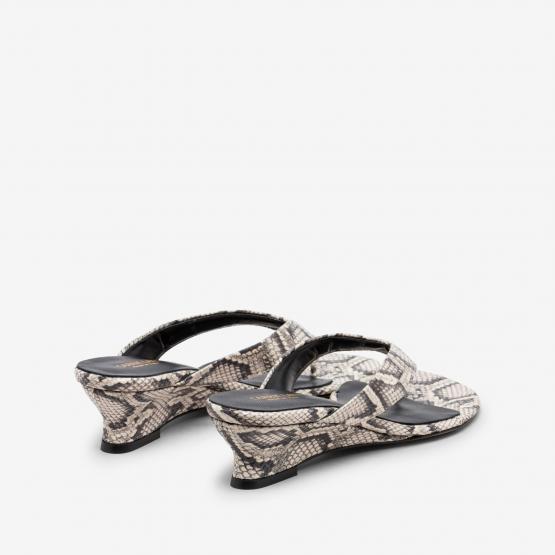 2890 45Z VIPERA ROCCIA 