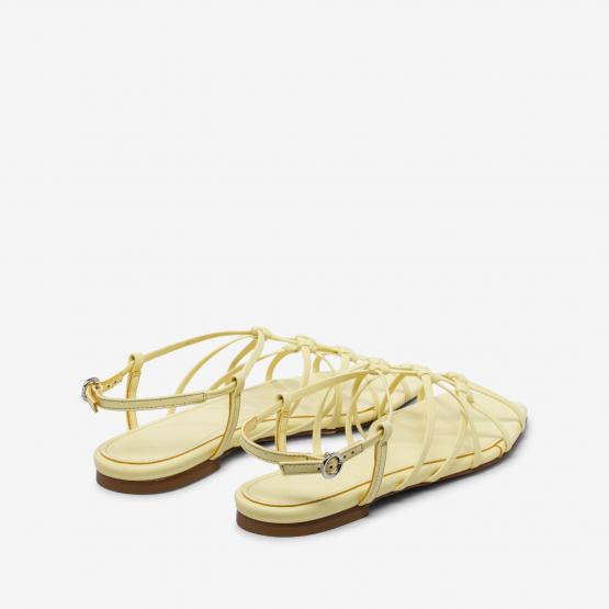 A11FS0708001239126 ANISA LEMON 