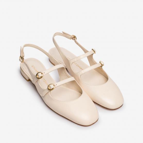 SI608 PY1 BENNI MJ SEASHELL 