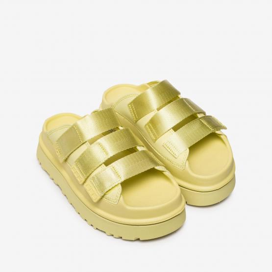 1167430-GLDN W GOLDENGLOW SL 6