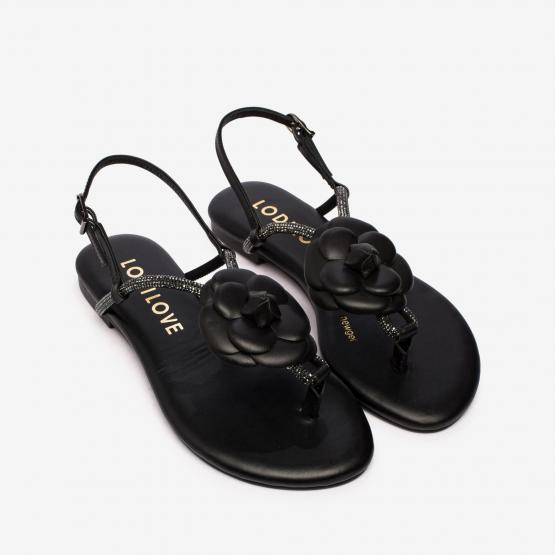 BR5500 BRILI NAPPA BLK 36