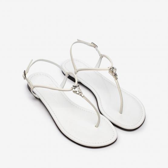  E500053-002 ANYELLE 41