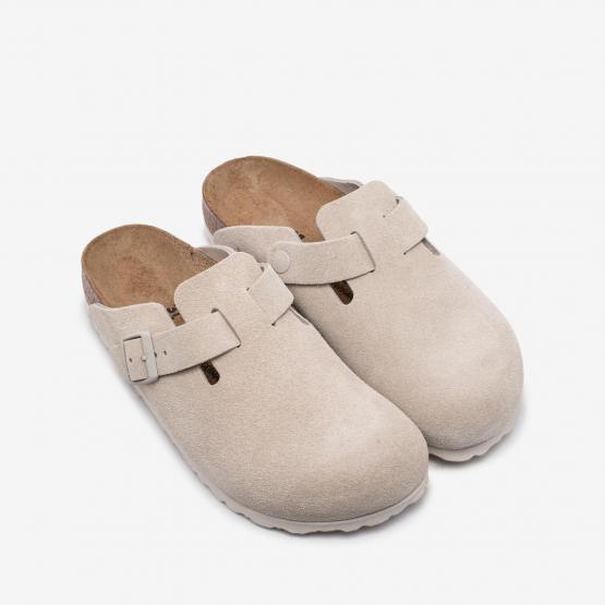 1031662 BOSTON OYSTER 