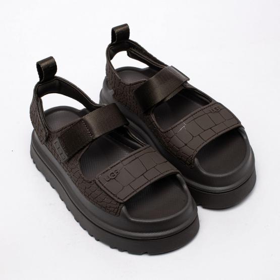 1175311 DNSS GOLDENGLOW 